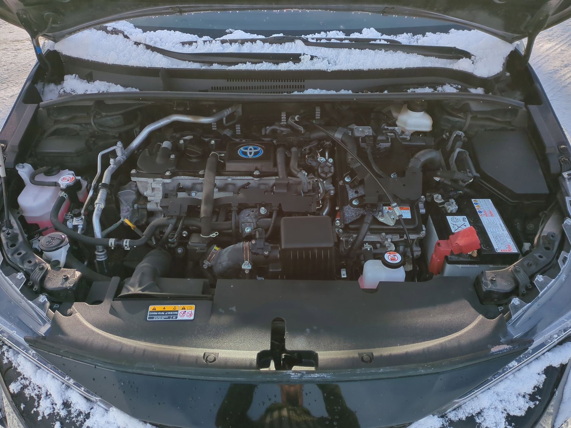 2023 Toyota Corolla Hybrid LE