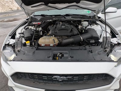 2019 Ford Mustang EcoBoost