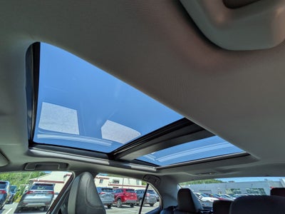 2019 Toyota Camry XLE w/ Driver Assist & Nav Pkg